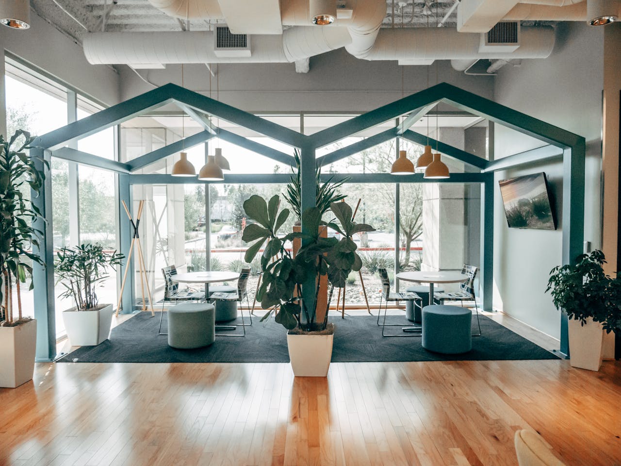 contact-img A contemporary office space featuring indoor plants, modern furniture, and natural lighting.